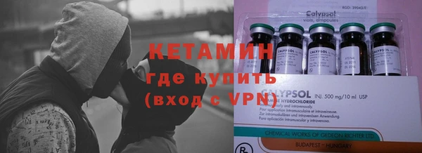 крисы Мегион