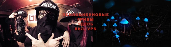 стафф Армянск