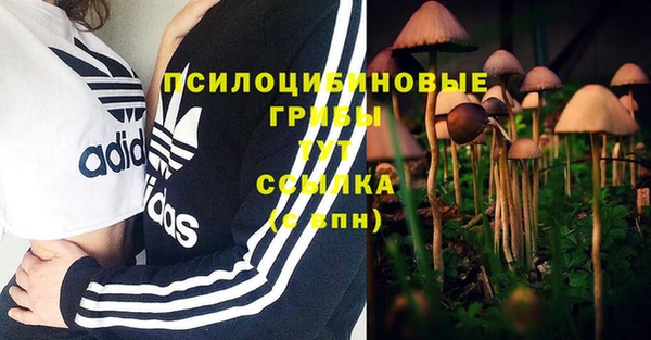 тгк Аркадак
