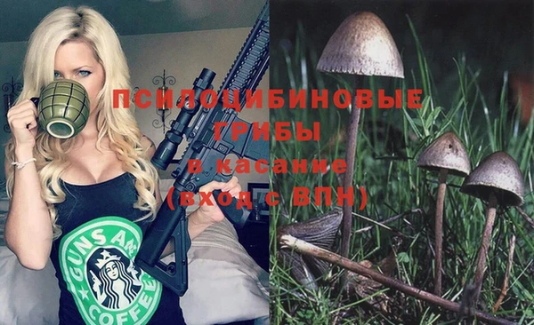 стафф Армянск
