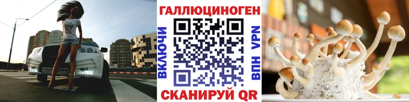Псилоцибиновые грибы Cubensis  Долгопрудный 