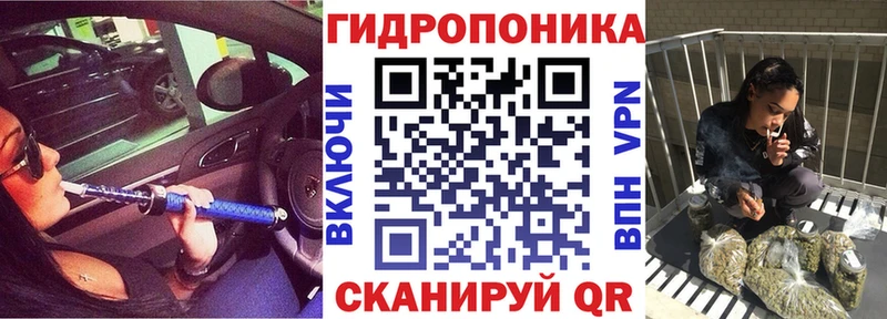 цена Долгопрудный omg ссылки МАРИХУАНА план